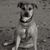 Kathi Thomson's profile image