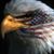 David A Stradtmann's profile image