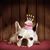Rocio Guisella Plasencia's profile image