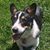 Billy Herren's profile image
