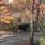 Dona Voyles Whitwell's profile image
