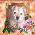 Vicki McFadin's profile image
