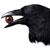 Brien Patrick Samuels's profile image