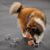 Kathi Tagliamonte's profile image