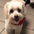 Vicki Allmon-Pearson's profile image