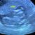 Mallory Gayle Thomas's profile image