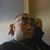 Brian Mullins's profile image