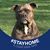 Linda Pitti's profile image
