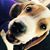 Jeannie Remsberg's profile image