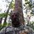 Nathan Turley's profile image