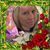 Donna Smith's profile image