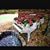 Kathy Autry Tyler's profile image