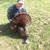 John Russell's profile image