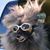 Midge Lawson's profile image