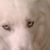 Cheryl Macnally's profile image