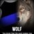 Dave Pitzer's profile image