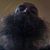Jeremy Urban's profile image