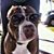 Nestor Alexander Martinez's profile image