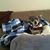 Lori Muench Cook's profile image
