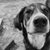 Vonnie Henry's profile image