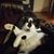 Heather Hancook Richards's profile image