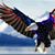 Payton Bowen's profile image