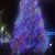 Stephanie Rueckert's profile image