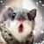 Nana Kenney's profile image