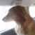 Tina Towner's profile image