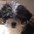 Carole Ann's profile image