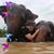 Loranda McLeete's profile image