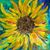Helen Hoelck's profile image