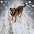 Betty Anders's profile image