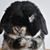 Penny Traxler's profile image