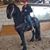Arnoldo Ochoa Er's profile image