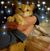 Kelly Shellenberger's profile image