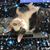 Martha Patey's profile image