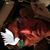 Greg Greenhill's profile image