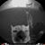 James Rich's profile image