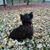 Eileen Jesmer's profile image