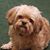 Michele Jones's profile image