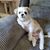 Sherry Regina Mitchell's profile image