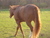 Gale M.'s profile image