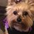 Sara Graham's profile image