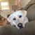 Susan Grau-Jaworski's profile image