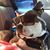 Roscoe Celtic's profile image