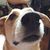 Ann Marie Olin's profile image