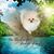 Janet Smitha's profile image