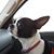 Diann Fincel's profile image