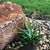 Vicky Harris-Ragland's profile image